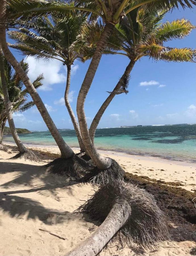 Couleur Caraibes-Cocobeach Martinique Pierre Et Vacances 圣吕斯 外观 照片