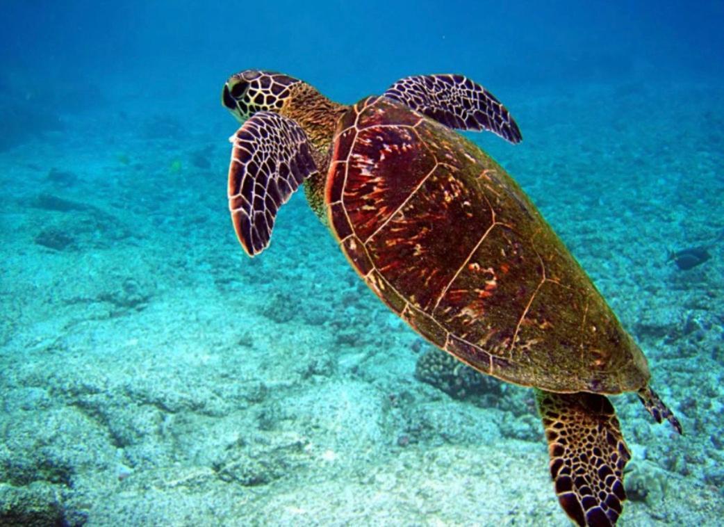 Couleur Caraibes-Cocobeach Martinique Pierre Et Vacances 圣吕斯 外观 照片