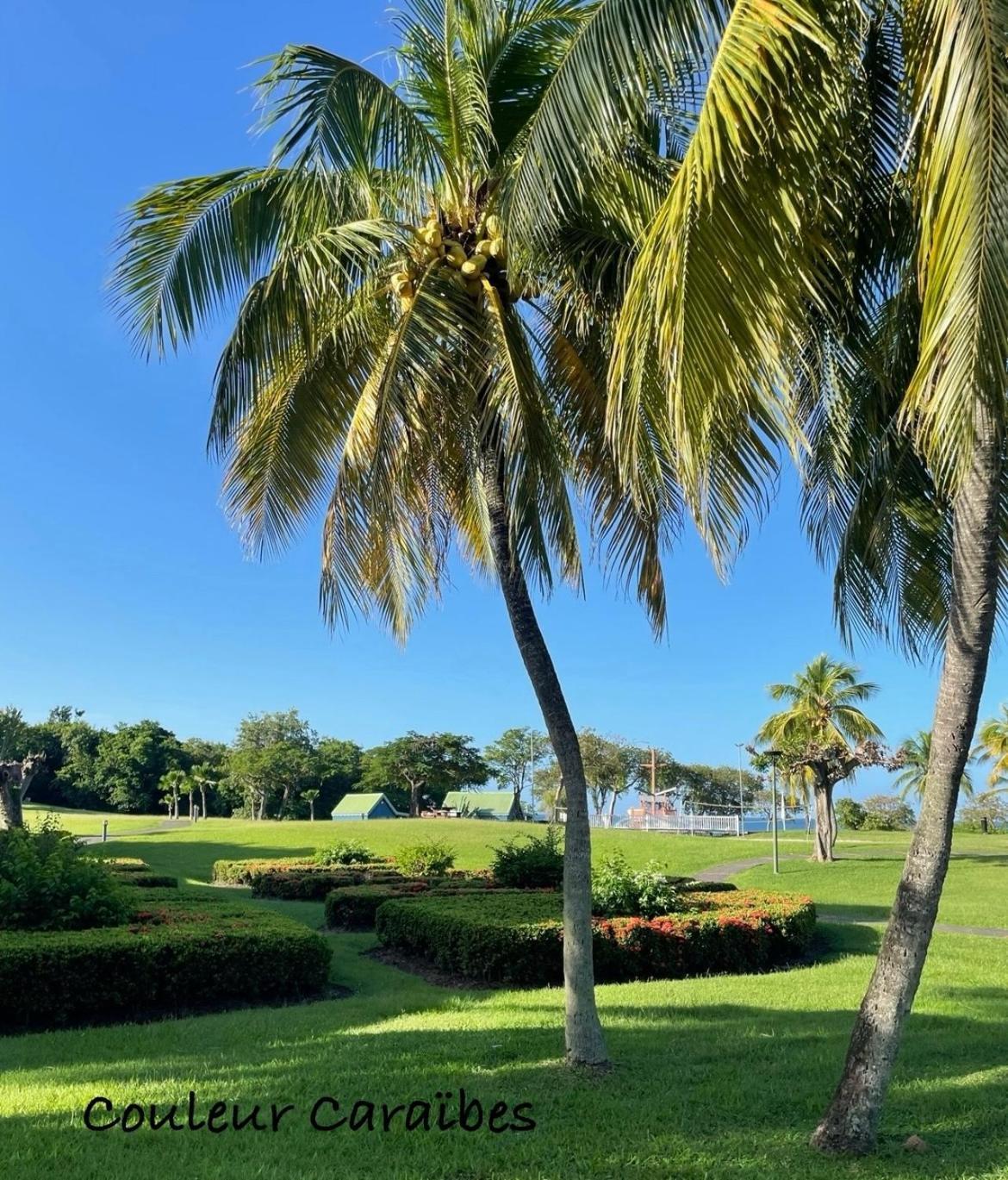 Couleur Caraibes-Cocobeach Martinique Pierre Et Vacances 圣吕斯 外观 照片