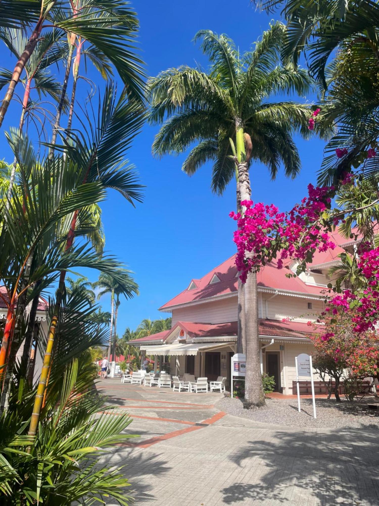 Couleur Caraibes-Cocobeach Martinique Pierre Et Vacances 圣吕斯 外观 照片