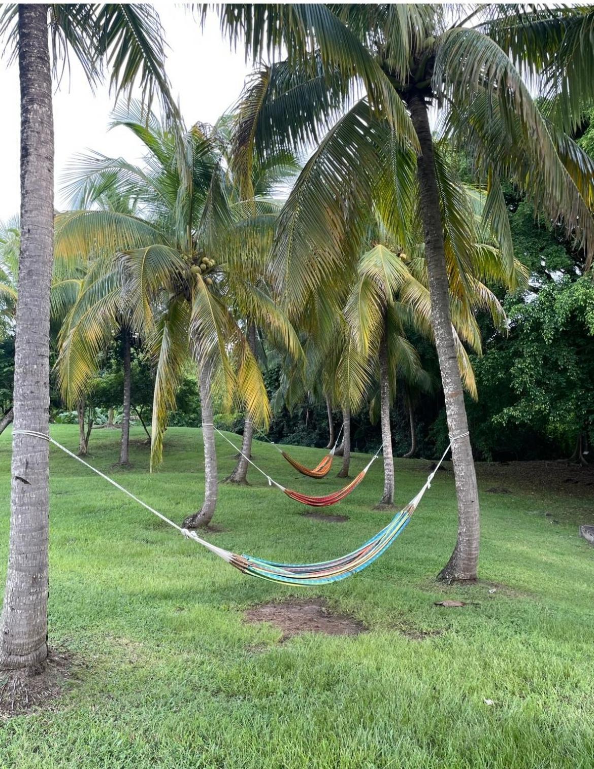 Couleur Caraibes-Cocobeach Martinique Pierre Et Vacances 圣吕斯 外观 照片